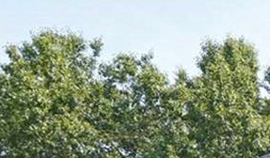 Rent Cheap Apartments In Mooresville Nc From 680 Rentcaf 233